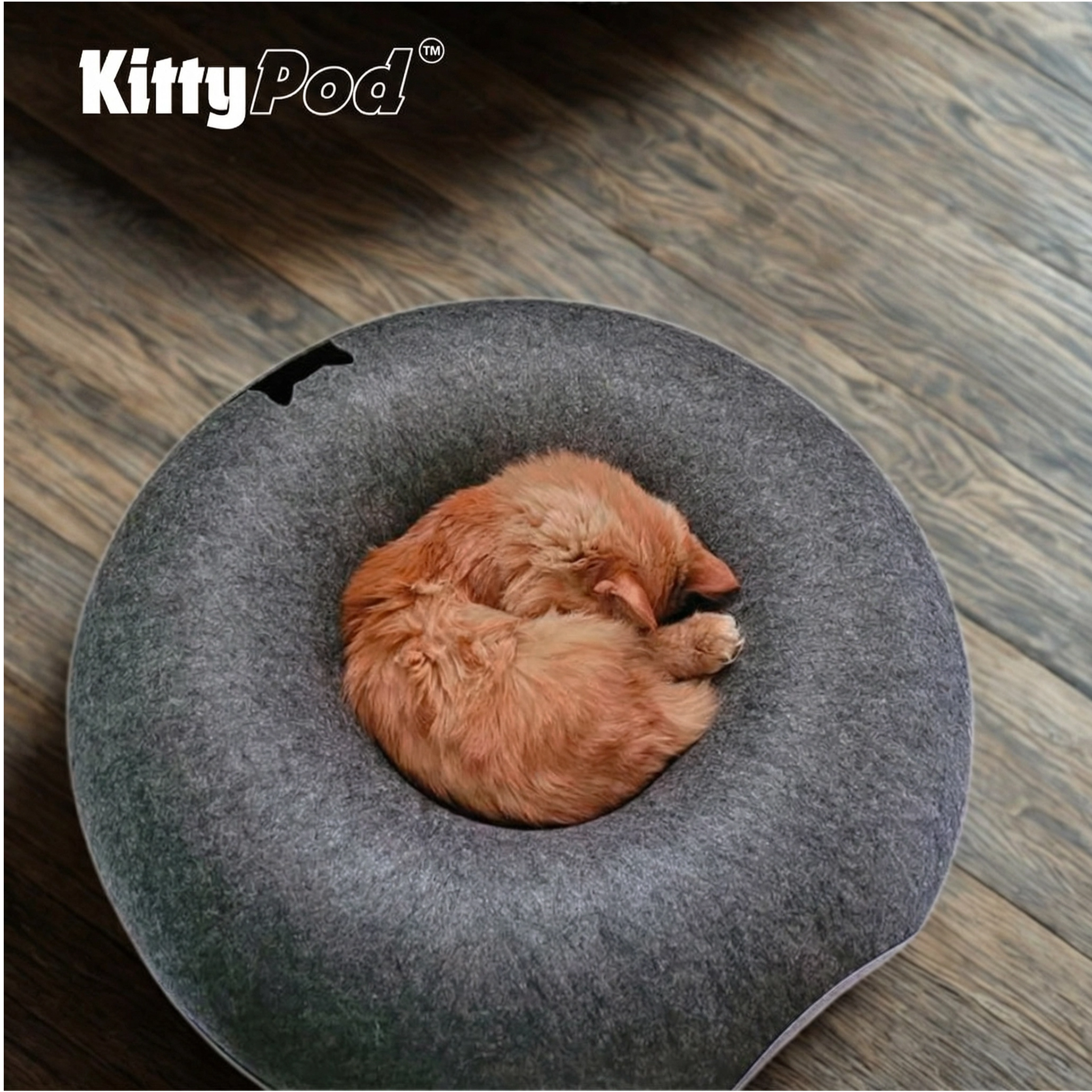 Kitty Pod™