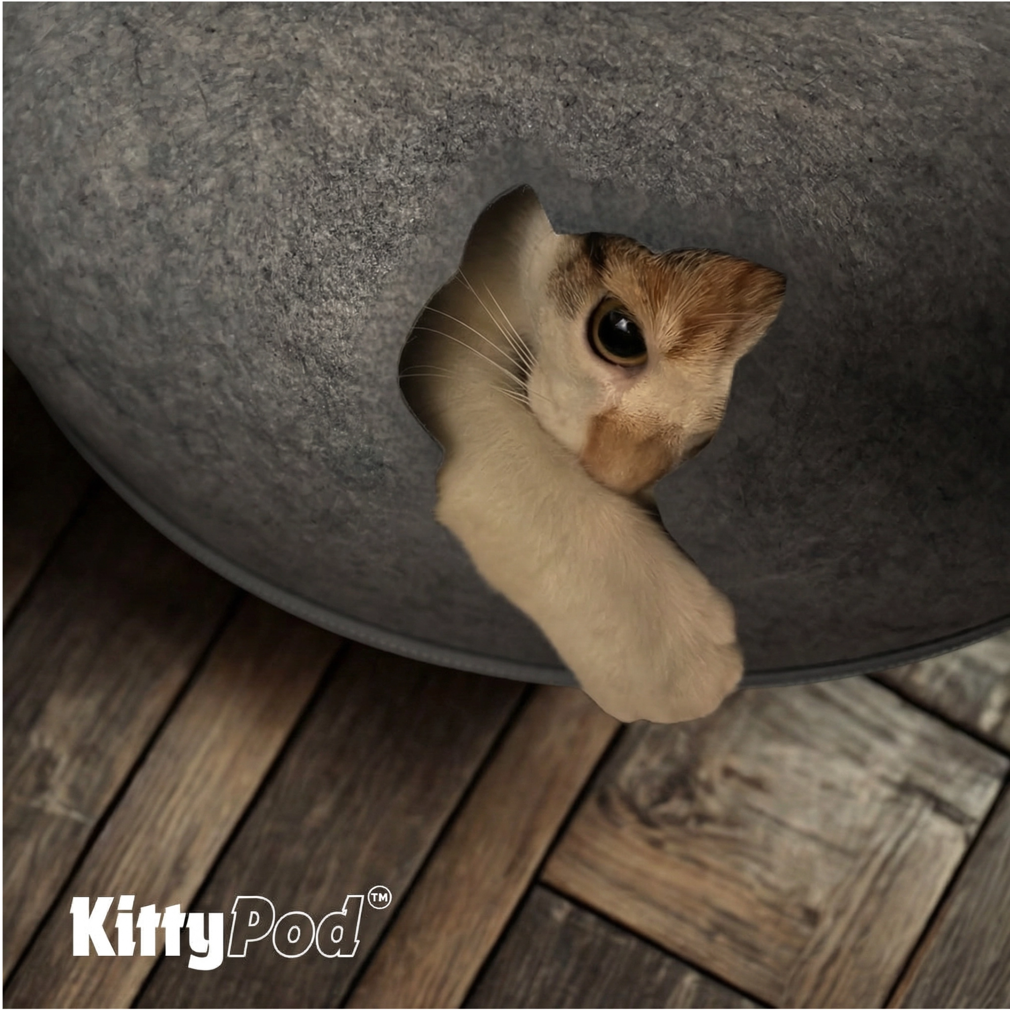 Kitty Pod™